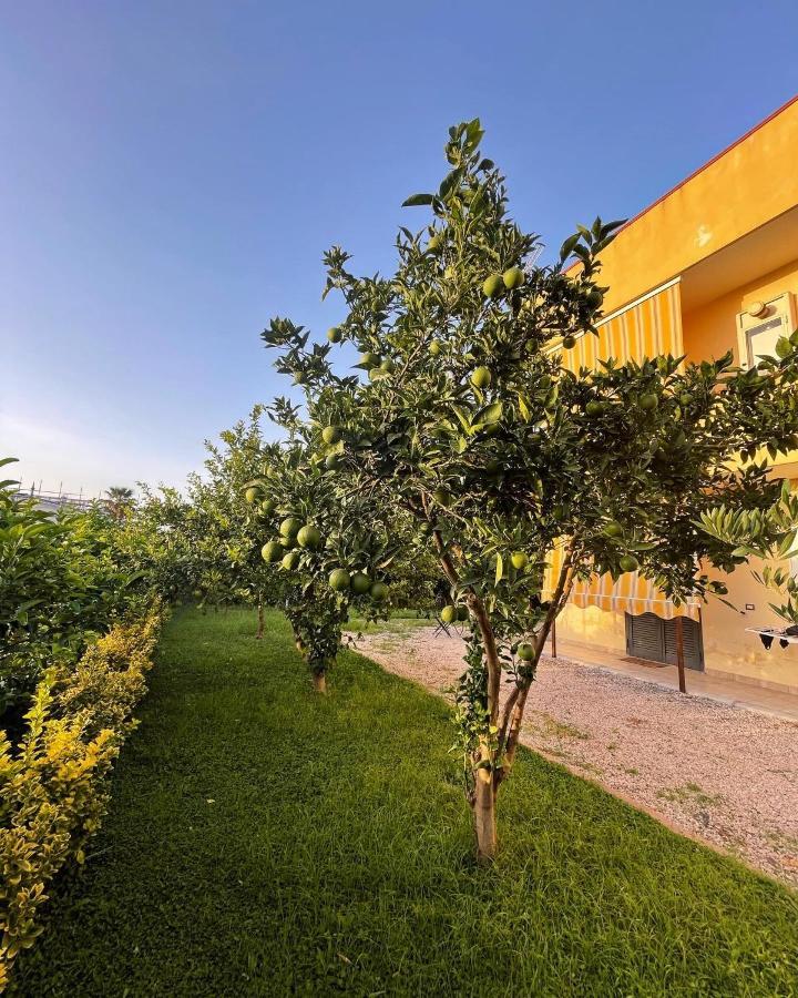 Casa Vacanze Paradise Santa Maria La Carità Extérieur photo