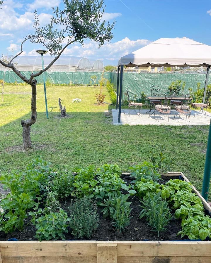 Casa Vacanze Paradise Santa Maria La Carità Extérieur photo