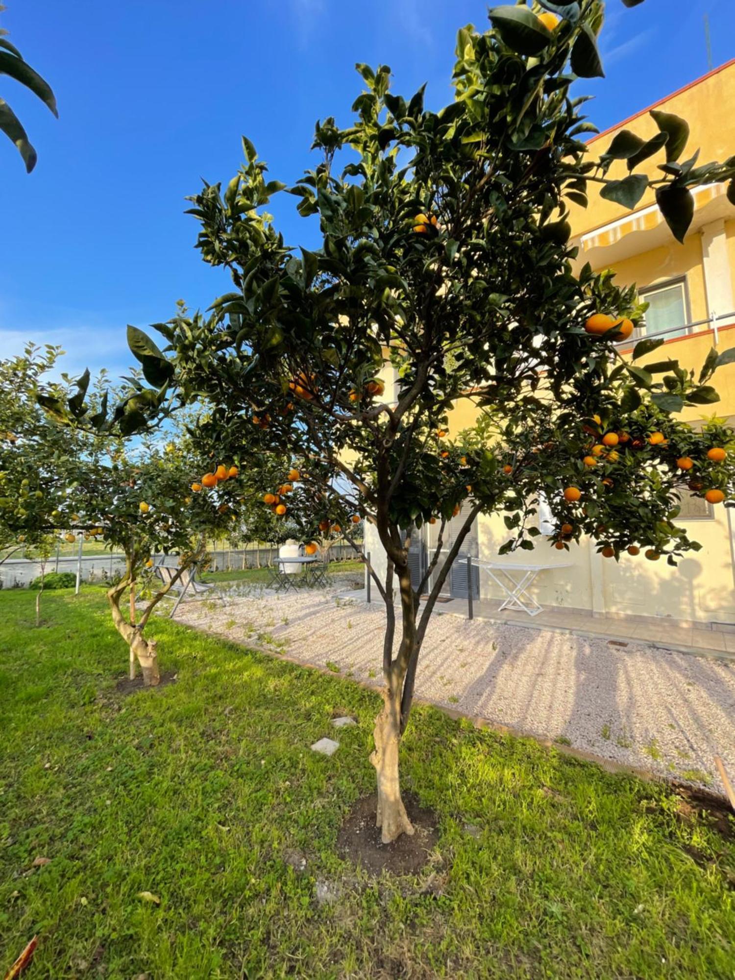 Casa Vacanze Paradise Santa Maria La Carità Extérieur photo