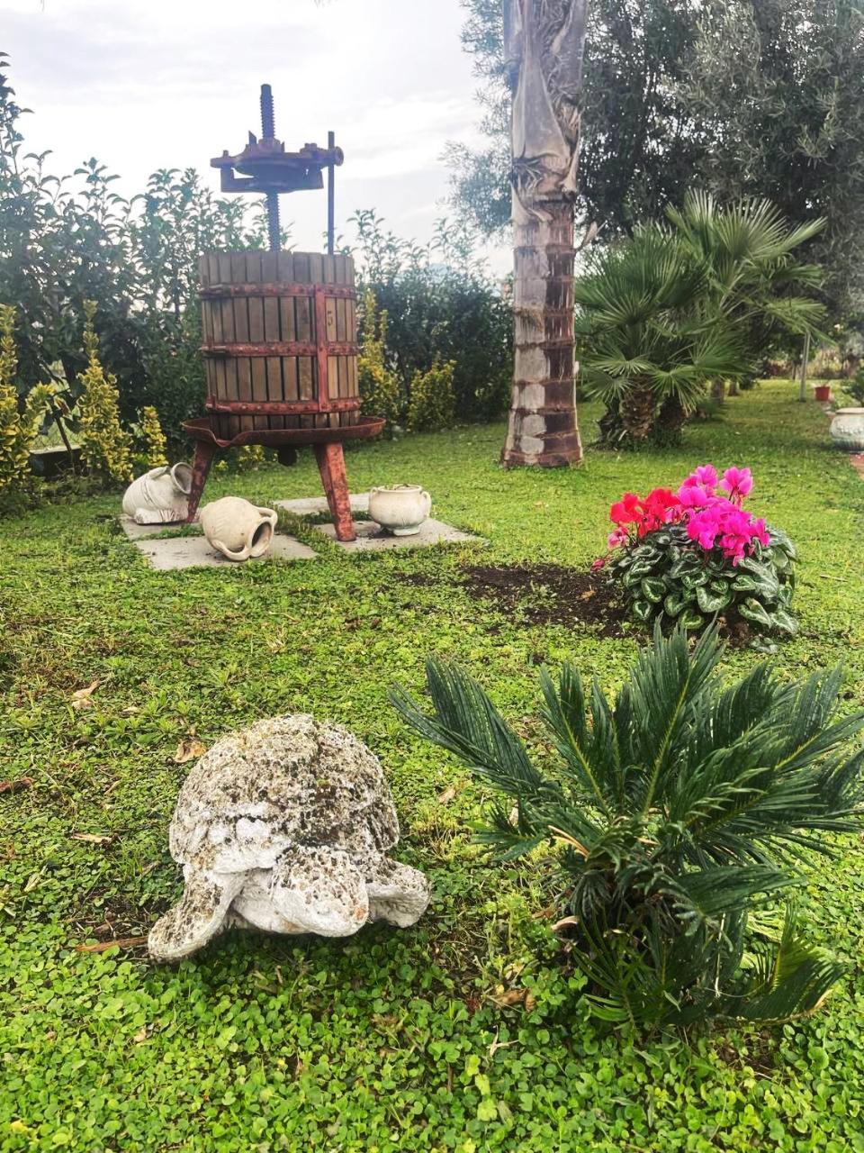 Casa Vacanze Paradise Santa Maria La Carità Extérieur photo
